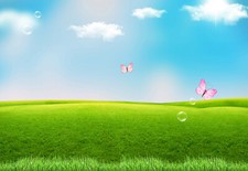 10x8ft Blue Sky Cloud Green Grass Land Butterfly Photo Background Vinyl Backdrop