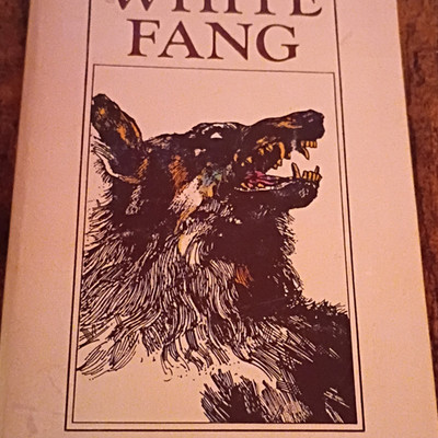 London White Fang Paperback English Scholastic Book Services Adventure Dogs