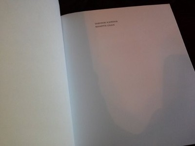 Sensitive Chaos: Creation of Flowing Forms in ... by Schwenk, Theodore Paperback