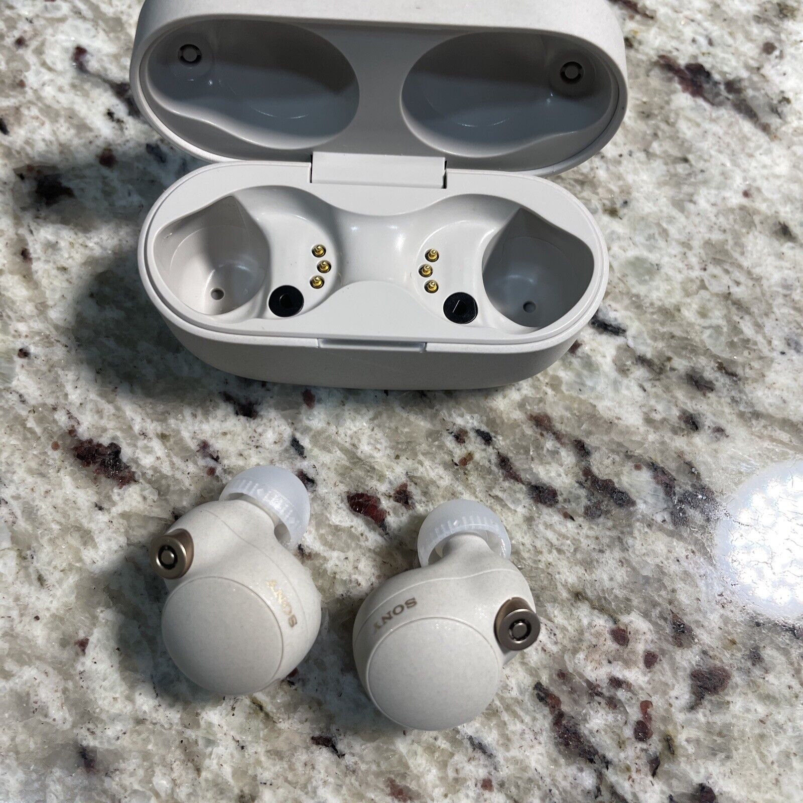 Sony WF-1000XM4 wireless earbuds review: entertaining and musical