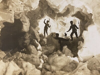 Hunting Polar Bear In Ice Cave 1904 Antique Stereoview SV Photo