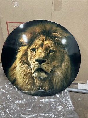 Designart 'Lion Portrait With Rich Mane' Animal Glossy Metal Brown 23 x 23