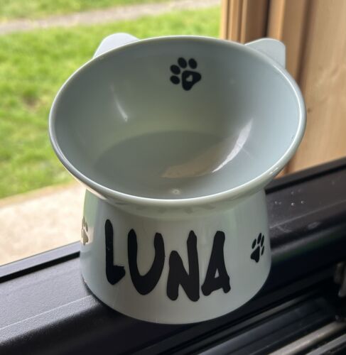 New Raised Cat/Dog Feeding Bowl! Personalised Ideal To Aid Pet Feeding. - Picture 5 of 10