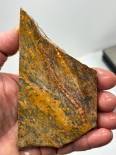 Orbicular Leopard Skin Jasper Slab Lapidary Cabbing Combo Ship Avail