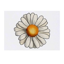 'Daisy' Temporary Tattoos / Transfers TO00044368 