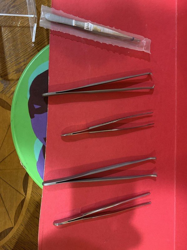Forceps