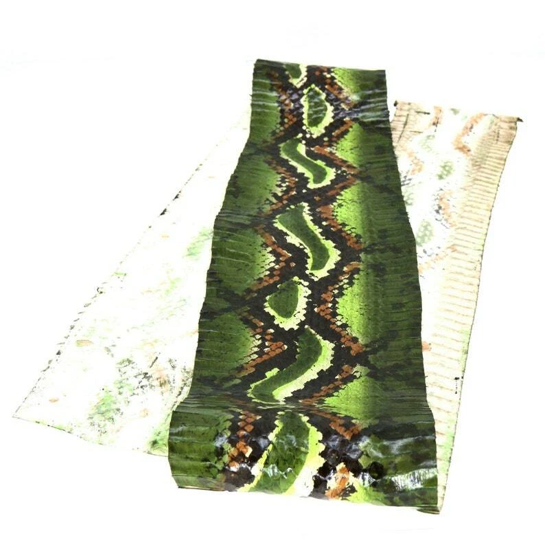 real Cobra SNAKESKIN SNAKE SKIN Hide Tanned Exotic Leather Python Print Green - Image 4 of 4
