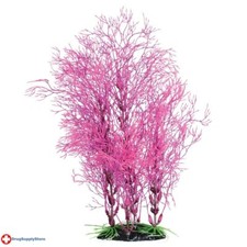 RA Fuscia Fern - 14"
