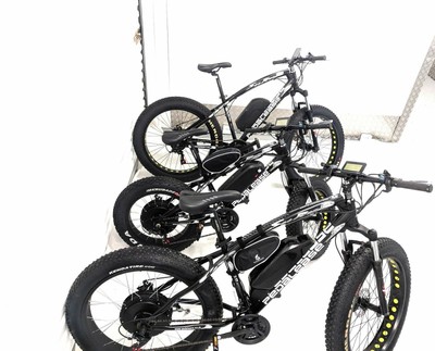 pedalease fat bike 1500w