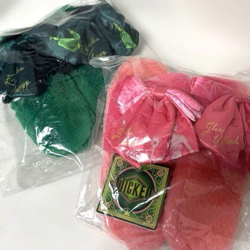 Böse Hexe Elphaba Glinda Zimmer Schuhe Set Namco Limited 2025 aus Japan - Bild 1 von 3