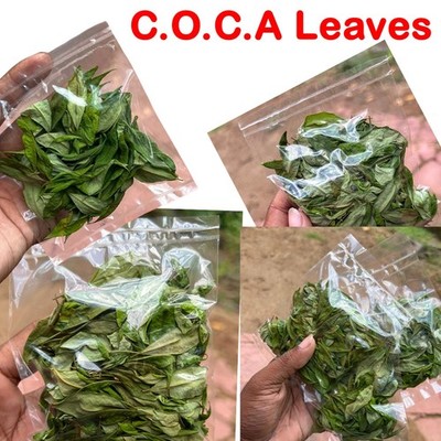 C.o.c.a Leaves Dried Leaves Organic & Tropical Ceylon 300+