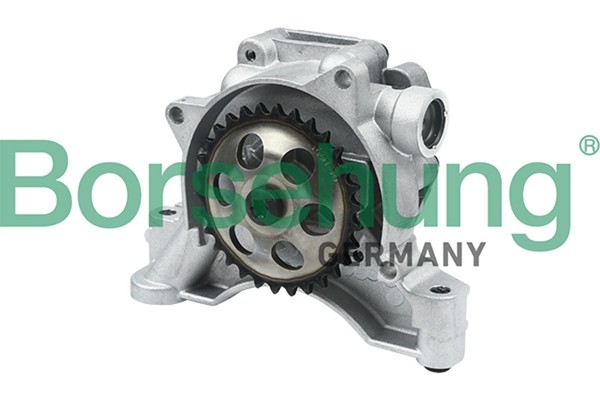 ÖLpumpe Borsehung B12697 FüR AV3 6R1 VW 163 162 AV2 Jetta Polo Seat Skoda 6C1 4-image