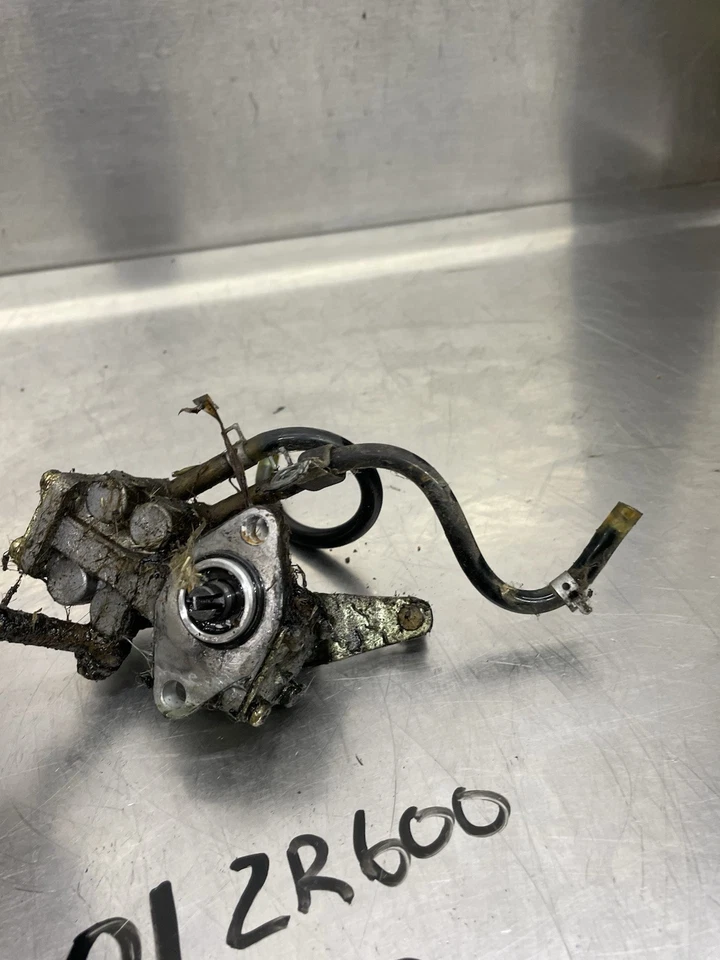 99 00 01 Conjunto de bomba de aceite Arctic Cat Mountain Cat ZR ZL VEV 600 OEM #3005-417 Foto 3 de 4