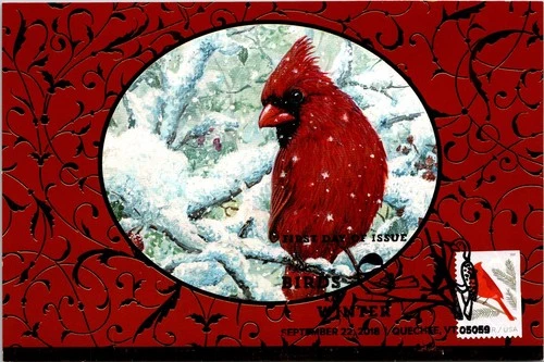 Dr Jim Stamps Maximum Card Birds In Winter Cardinal Forever Fdc