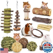 ERKOON New 12 Pack Hamster Chew Toys Gerbil Rat Guinea Pig Chinchilla Chew To