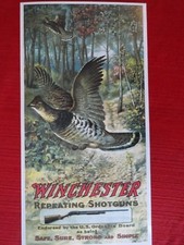  on The Hot Collector