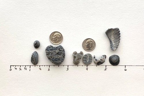 Insegna naturale a forma di lettera "I ❤️ TU!" conchiglie spiaggia corallo arte artigianato conchiglia USA - Foto 9 di 11