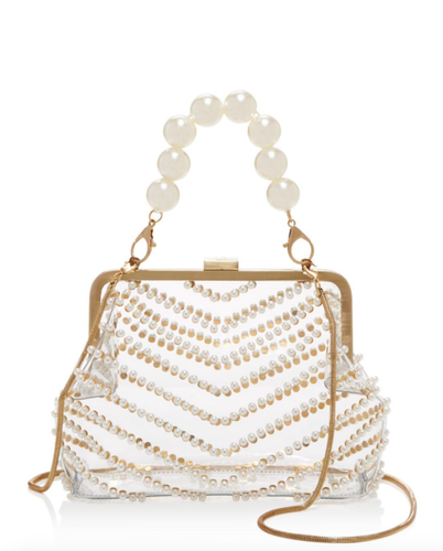 zac zac posen clear bag