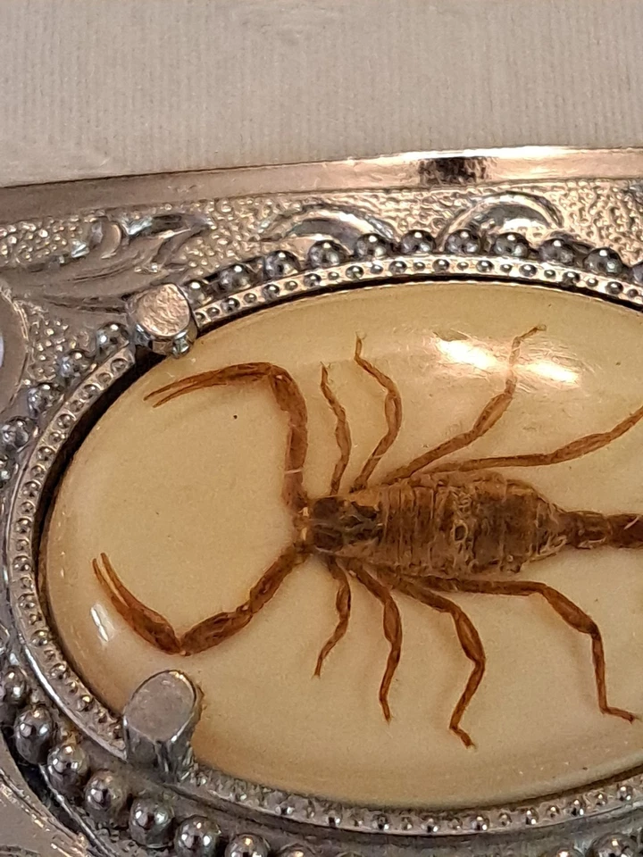 Hebilla de cinturón de escorpión real recubierta de resina tono plata vaquero rodeo desierto Foto 2 de 4