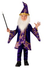 Brand New Wizard Infant/Toddler Costume