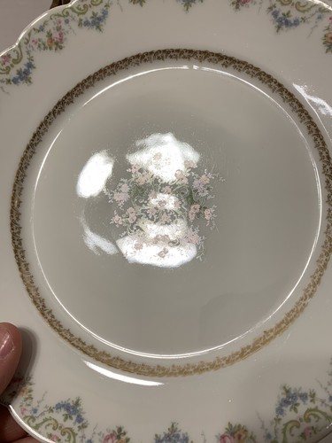 "Precioso par de platos de almuerzo florales Jean Pouyat Limoges 9,5"" - Guirnalda de rosas" - Imagen 7 de 9
