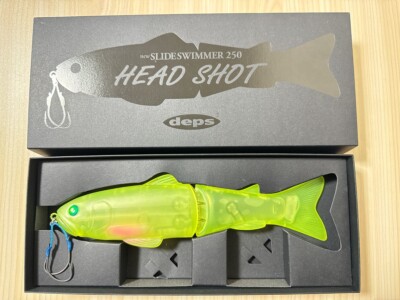 Deps NEW SLIDE SWIMMER 250 HEAD SHOT 