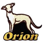 Italian Greyhound Dog Patch Personalized Custom Iron-on