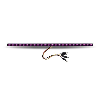 17'' Marker Undermount LED Strip - Amber/Purple LED/Clear Lens
