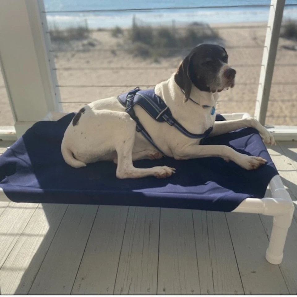 Truman + Teddy Elevated Dog Bed (Blaze Orange) - Image 4 of 4