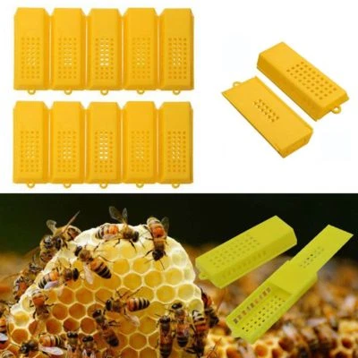 10 Stk Bienenkönigin Bee Beekeeping Catcher Käfig Imker Imkerei Tools Kit Satz
