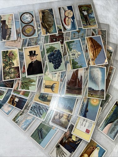 Do You Know 2nd Series 1924 Wills Cigarette Cards - Full Set of 50 Cards