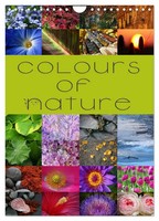Martina Cross | Colours Of Nature / Uk-Version (Wall Calendar 2026 Din A4...