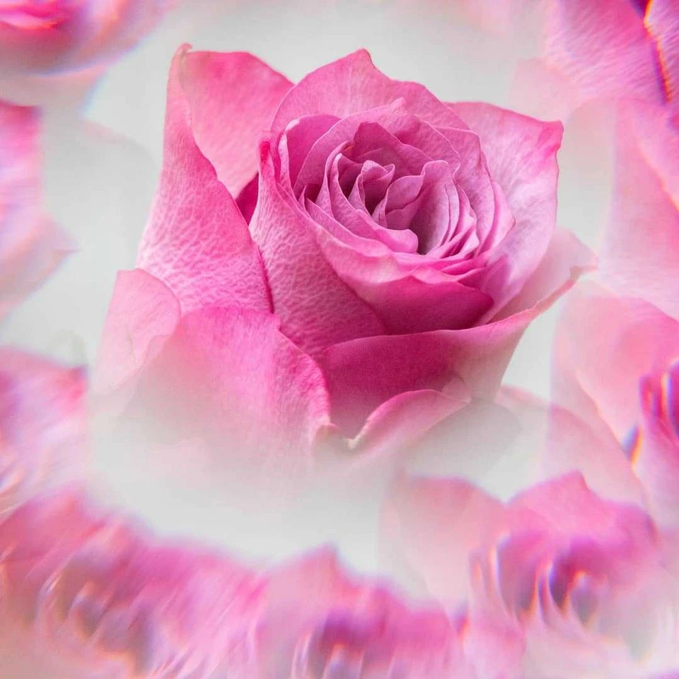 Kaleidoscope Effects Camera Filter Handheld DSLR Photography Special Filter - Image 2 of 4