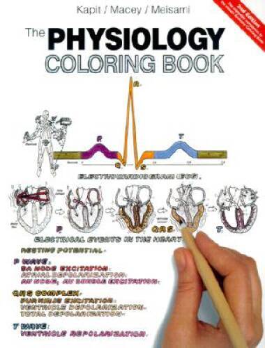 The Physiology Coloring Book (2nd Edition) - Paperback By Kapit, Wynn - GOOD