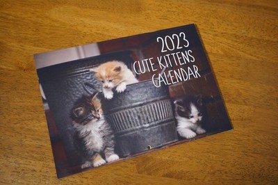 Süße Katzen Kätzchen Wandkalender 2023 wunderschöne Fotos