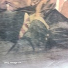 Bild 12 von 17