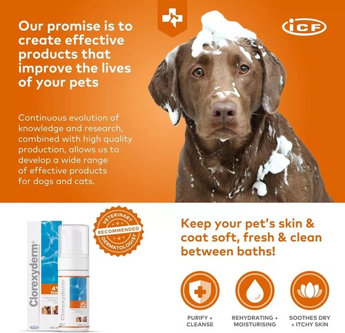 Clorexyderm 4% Foam Mousse - Dry Shampoo for Dogs & Cats - Antibacterial 100 ml - Picture 6 of 10