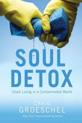 Craig Groeschel | The Soul Detox | Taschenbuch | Englisch (2013) | Zondervan
