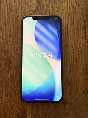 Apple iPhone 12 Pro Max - 128GB - Pacific Blue (Ohne Simlock) (Dual-SIM)