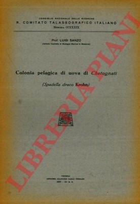 SANZO Luigi - Cologna pelagica di uova di Chetognati (Spadella draco Krohn).