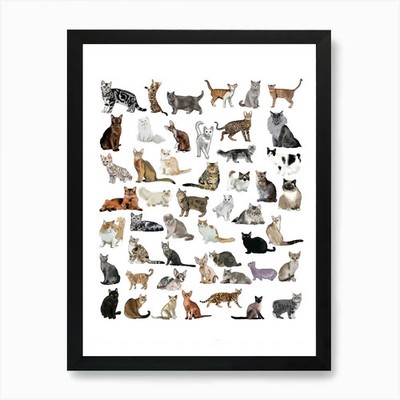 Viele Katzen Kunstdruck gerahmt Wandbild Poster Leinwanddruck Bild