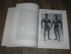Bild 7 von 12