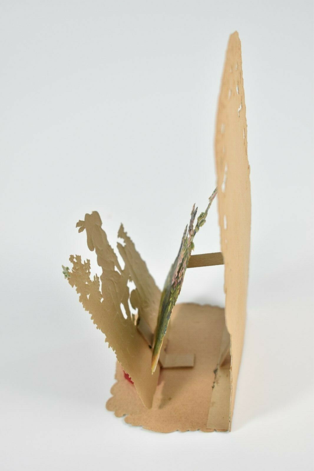 Picture 5 of 6