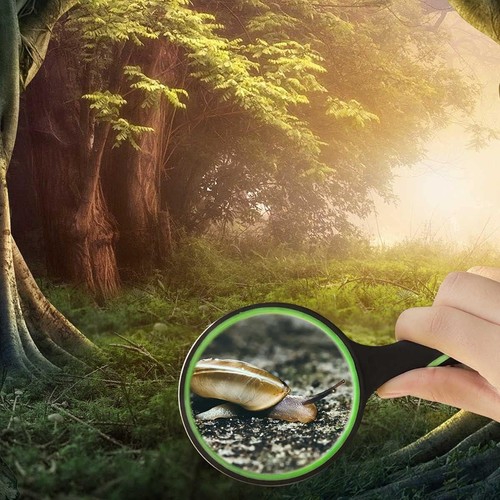 10X Lente di Ingrandimento Infrangibile Grande Portatile Nero, Verde - Foto 5 di 8