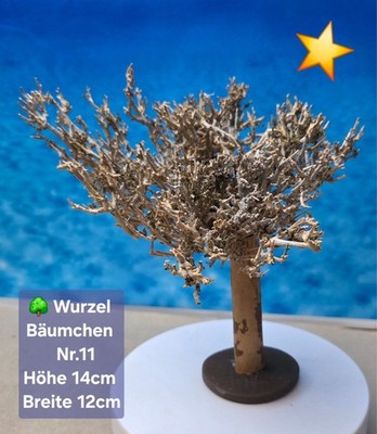  Aquarium Wurzel Bonsai Bäumchen auf Schieferplatte 