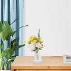 Glasvase Glasblumenvase Glashydroponische Vase unregelmäßig geformte