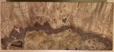 2 x 2-5/8 x 6-1/4 AAA Spalted Maple Burl Block Handles Scales Pen Blank Grips