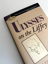 Richard Ellmann ULYSSES ON THE LIFFEY Barnes & Noble Rediscovers 2009 HC/DJ