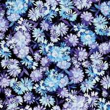 Shimmering Twilight By Kanvas Studio - Black Twilight Meadow  12508P-12