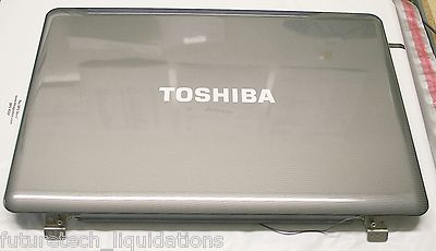 Ensemble Écran LCD 15.6" Pour Toshiba Satellite Pro L500-1XL Avec Charnières Et Câbles
